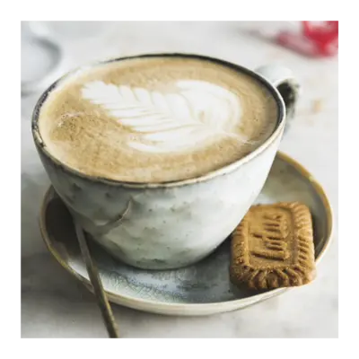 pdp-image-Lotus Biscoff Speculoos
