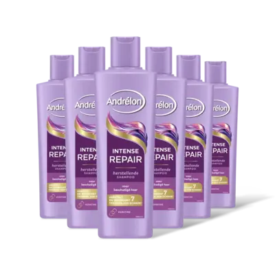 pdp-image-Andrélon Intense repair shampoo 6-pack