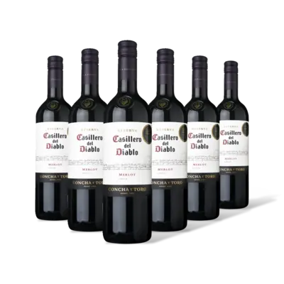 pdp-image-Casillero del Diablo Merlot reserva 6 flessen