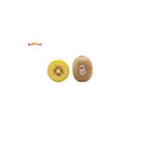 Zespri Kiwi gold los