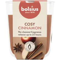 Bolsius True scents geurglas apple cinnamon 8cm