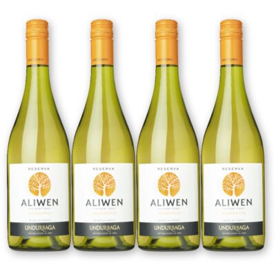 pdp-image-Aliwen Chardonnay reserva 4 flessen