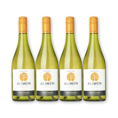 pdp-image-Aliwen Chardonnay reserva 4 flessen