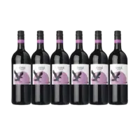 AH Stevige Chileense huiswijn rood 6-pack