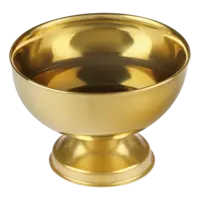 AH Excellent RVS coupe goud