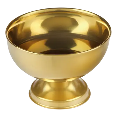 pdp-image-AH Excellent RVS coupe goud