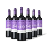 Cono Sur Bicicleta merlot 6 flessen