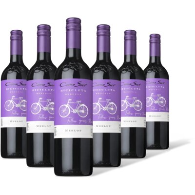 pdp-image-Cono Sur Bicicleta merlot 6 flessen
