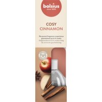 Een afbeelding van Bolsius Geurverspreider true scents appel kaneel