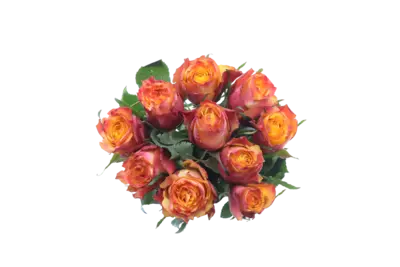 pdp-image-AH Rozen gemengd warm
