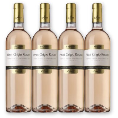 pdp-image-Mastri Vernacoli PG Rosato 4 flessen