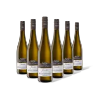 Divino Juventa weissburgunder 6 flessen