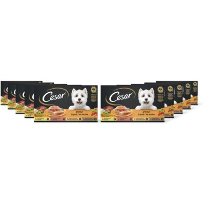 pdp-image-Cesar Hondenvoer nat primeur 10-pack