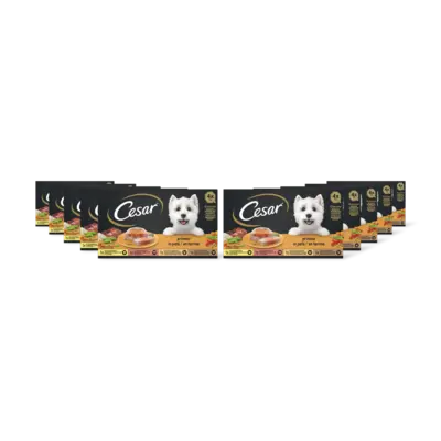 pdp-image-Cesar Hondenvoer nat primeur 10-pack