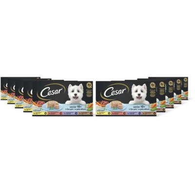 pdp-image-Cesar Hondenvoer senior 10+ jaar 10-pack
