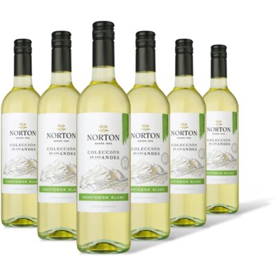 pdp-image-Norton Colección sauvignon blanc 6 stuks