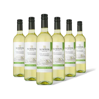 pdp-image-Norton Colección sauvignon blanc 6 stuks