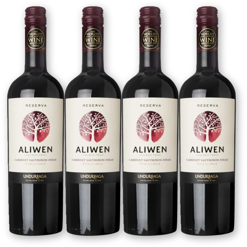 Aliwen Aliwen Cab. Sauv. Syrah 4 flessen