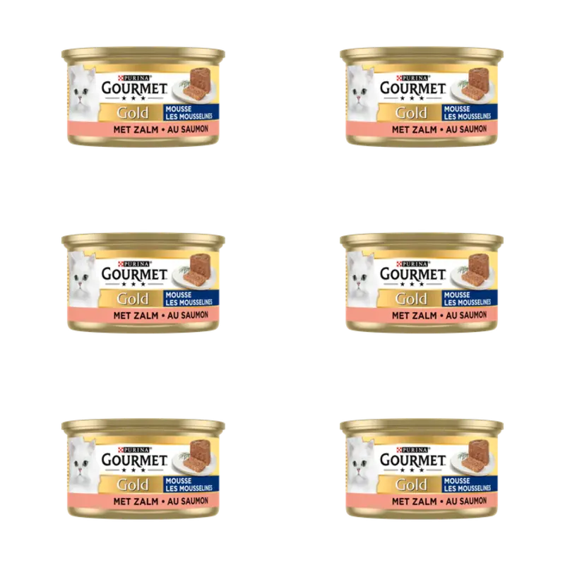 Gold mousse met zalm 6-pack