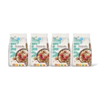 AH Glutenvrij Granola 4-pack