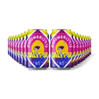 Brouwerij 't IJ Calypso 16-pack