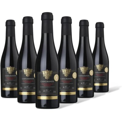 pdp-image-AH Excellent Selectie cangrande valp 6-flessen