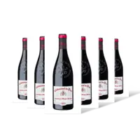 Vignerons l'Enclave CDP 6 flessen