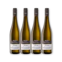 Divino Juventa Grauburgunder 4 flessen