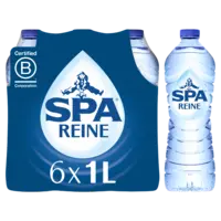 Spa Reine koolzuurvrij mineraalwater