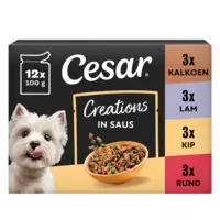 Cesar Creations in saus