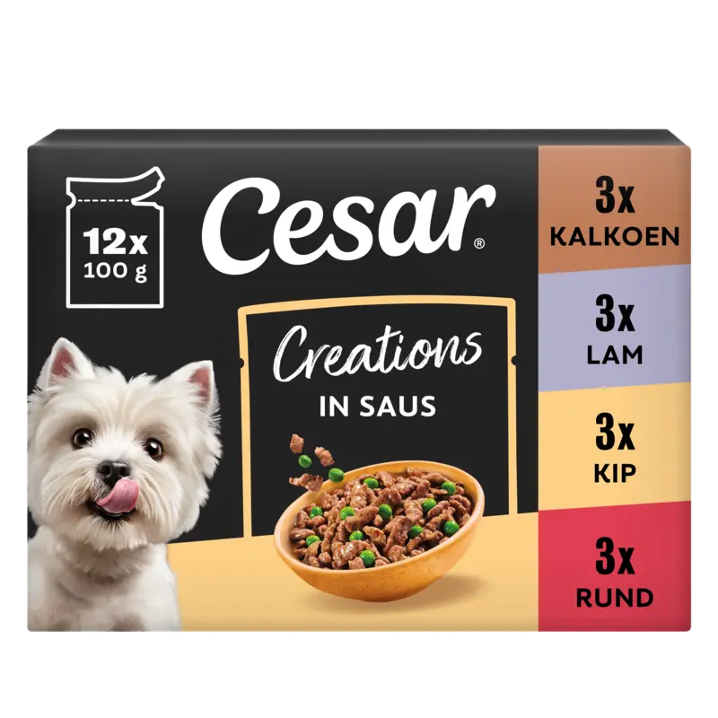 Cesar Creations in saus