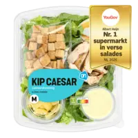 AH Kip Caesar M