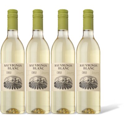 pdp-image-AH Sauvignon blanc 4 flessen