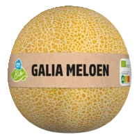 AH Biologisch Galia meloen