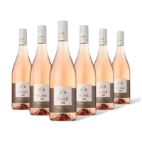 Remy Pannier Rosé cuvée spéciale 6 flessen