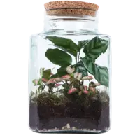AH Terrarium vierkant S