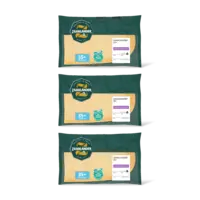 AH Zaanlander Extra belegen 35+ plakken 3-pack