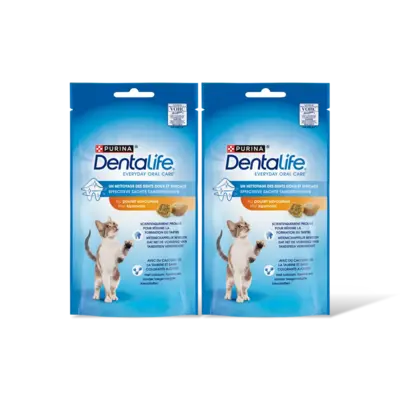 pdp-image-Dentalife Met heerlijke kip 2-pack