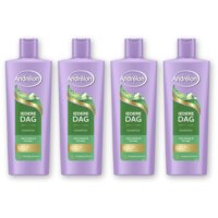 Andrélon Iedere dag shampoo 4-pack