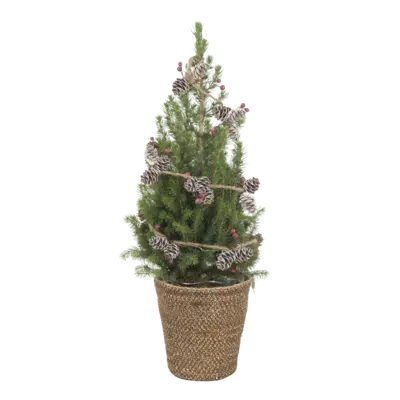 pdp-image-AH Kerstboom dennenappel verlichting p15