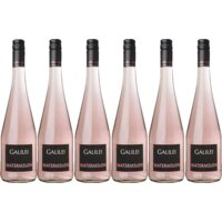 Galilei Frizzante watermelon 6 stuks