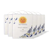 Settesoli Pinot Grigio Tap 6 flessen