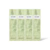 AH Geurstokjes wild garden 4-pack