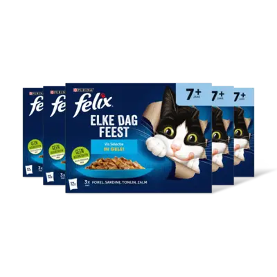 pdp-image-Felix Elke dag feest sr vis selectie gelei 5pk