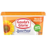 Gouda's Glorie Zonnepond