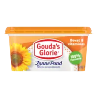 Gouda's Glorie Zonnepond