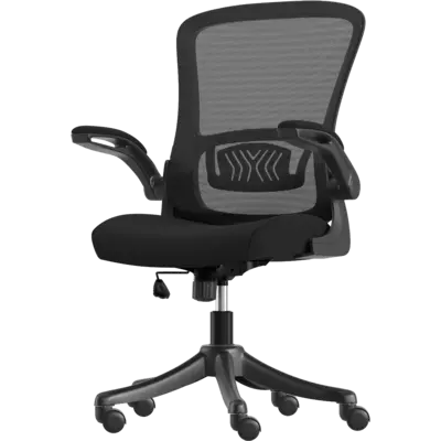 pdp-image-Lifegoods Ergonomische bureaustoel comfort