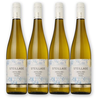 pdp-image-AH Excellent Riesling 4 flessen