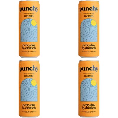 pdp-image-Punchy Everyday hydration mango 4-pack