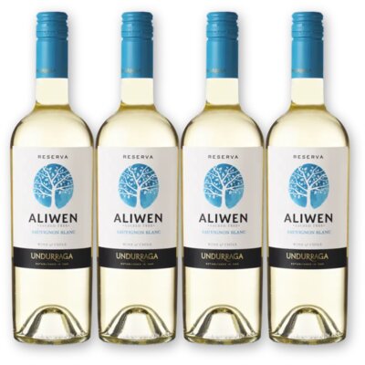 pdp-image-Aliwen Sauvignon blanc reserva 4 flessen